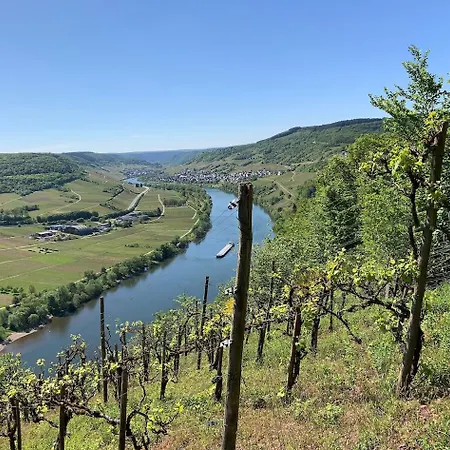 Апартаменты Kanzler *