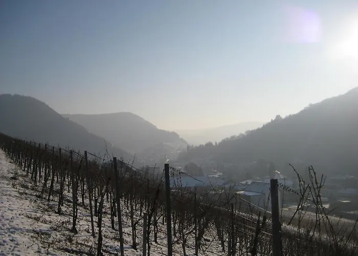 Kanzler Traben-Trarbach